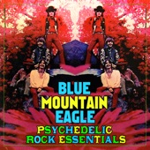 Blue Mountain Eagle - Love Is Here