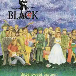 Bittersweet Sixteen - Black 47