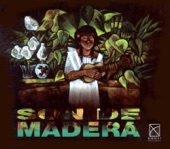 Mexico Son de Madera artwork