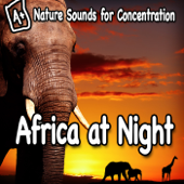 Nature Sounds for Concentration – Africa At Night - Single - Study Music