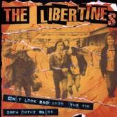 The Libertines - Don't Look Back into the Sun