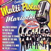 Mariachi Vol. 3, 1998