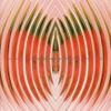 Yasuaki Shimizu & Saxophonettes - Courante (Cello Suites No.1)