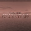 Relax, Unwind and Listen Vol 3, 2011
