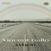 Vincent Gallo - I Wrote This Song for the Girl Paris Hilton