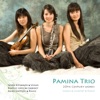 Pamina Trio - Suite from'''L'Histoire du soldat'' for Violin, Clarinet and Piano: Marche du soldat