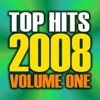 Top Hits 2008 Vol.1