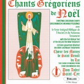 Chants grégoriens de Noël (Christmas Gregorian Chants) artwork