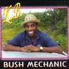 Bush Mechanic, 2010