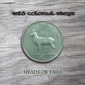 Wild Colonial Bhoys - One Night In Sheehan's (Instrumental)
