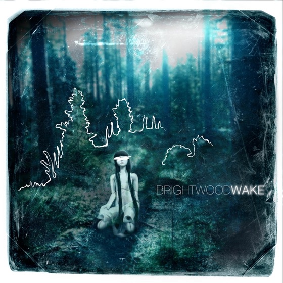 Cover artwork for Swan Song