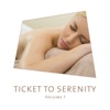 Ticket to Serenity, Vol. 1, 2011