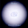 Starbyrd - Face of the Clown