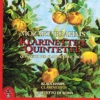 Klaus Hampl - Johannes Brahms: Klarinetten quintett in A dur KV581. Allegretto con variazioni
