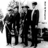 The Lonesome Pine Fiddlers - You Broke Your Promise