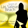 Spirit of Las Salinas Beach, Vol. 1 - Ibiza Deep House Collection