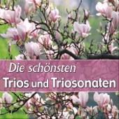 Trio Sonata in F Major, Opus 34 No. 1 - Andante artwork