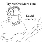 David Bromberg - It Takes A Lot To Laugh, It Takes A Train To Cry