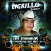 Los Corridos Favoritos del Jefe