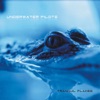 Underwater Pilots - Loud and Clear