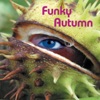 Funky Autumn