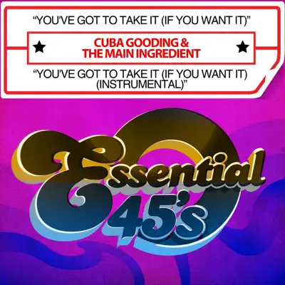 You've Got To Take It (If You Want It) / You've Got To Take It (If You Want It) (Instrumental) [Digital 45] - Single - The Main Ingredient