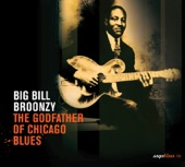 Saga Blues: The Godfather of Chicago Blues artwork
