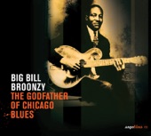 Big Bill Broonzy - Mississippi River Blues