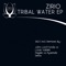 African Whales (Dehix Remix) - Zirio lyrics