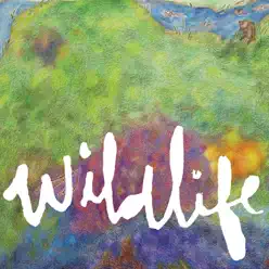 Wildlife - Headlights