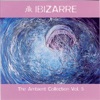 The Ambient Collection, Vol. 5, 2001