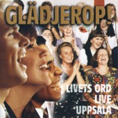 Glädjerop (Live) artwork