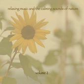 Relaxing Music & the Calming Sounds of Nature, Vol. 2 artwork
