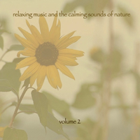 Music for Meditation & Relaxation - Relaxing Music & the Calming Sounds of Nature, Vol. 2 artwork