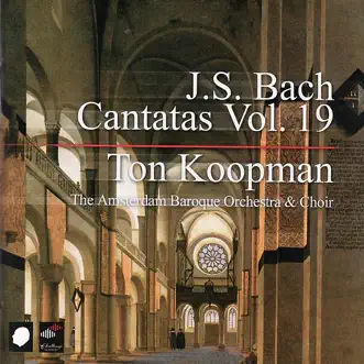 Bach: Cantatas, Vol. 19 by Amsterdam Baroque Choir, Amsterdam Baroque Orchestra & Ton Koopman album reviews, ratings, credits