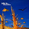 Life Is…Dimensions