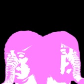 Death From Above 1979 - Romantic Rights