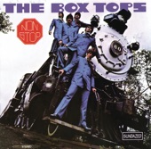 The Box Tops - I Can Dig It