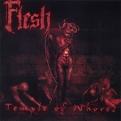 Flesh - Rotten Through the Skin