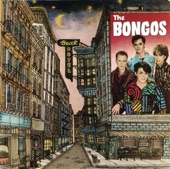 The Bongos - Space Jungle