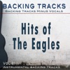 Hits Of The Eagles Vol 2 (Backing Tracks)
