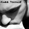 Tamid - Adult Swim
