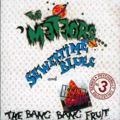 Sewertime Blues / Don't Touch the Bang Bang Fruit - The Meteors 