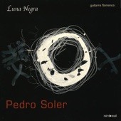 Luna Negra, Guitarra Flamenca artwork