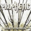 Legacy of the Fallen