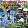 Exitos Solo Exitos de el Salvador, 1993