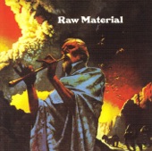 Raw Material - Future Recollections