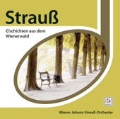 Walther Schulz - Romanze No. 1, Op. 243