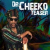 Dr. Cheeko - Shame and Scandal