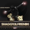 Shaggy & Friends, 2011